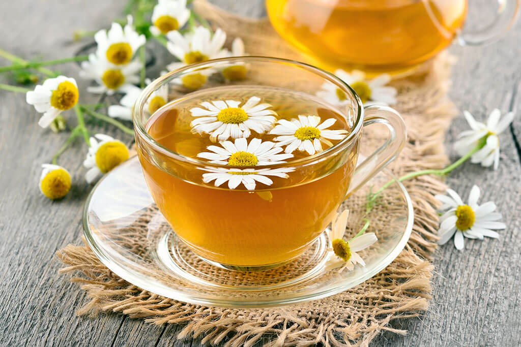 Health Benefits Of Drinking Chamomile Tea For Seniors Conservatory 