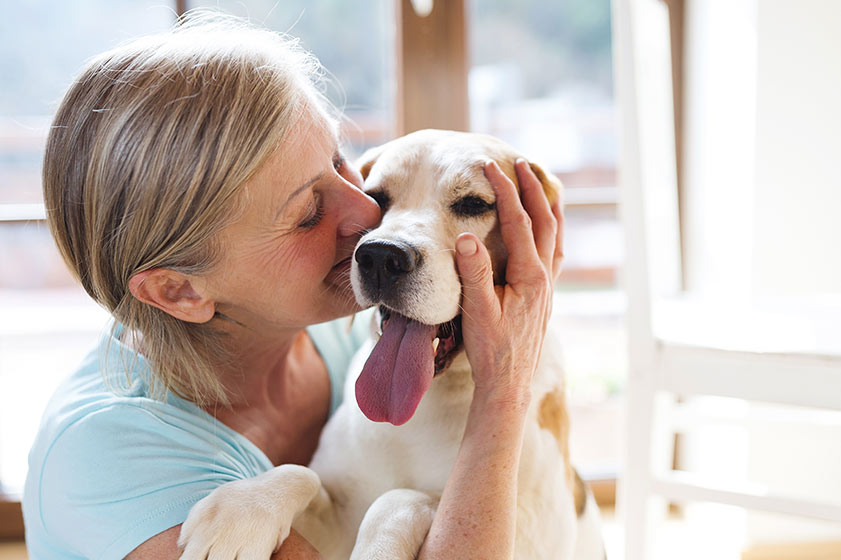 owning-a-pet-therapy-for-seniors-conservatory-senior-living