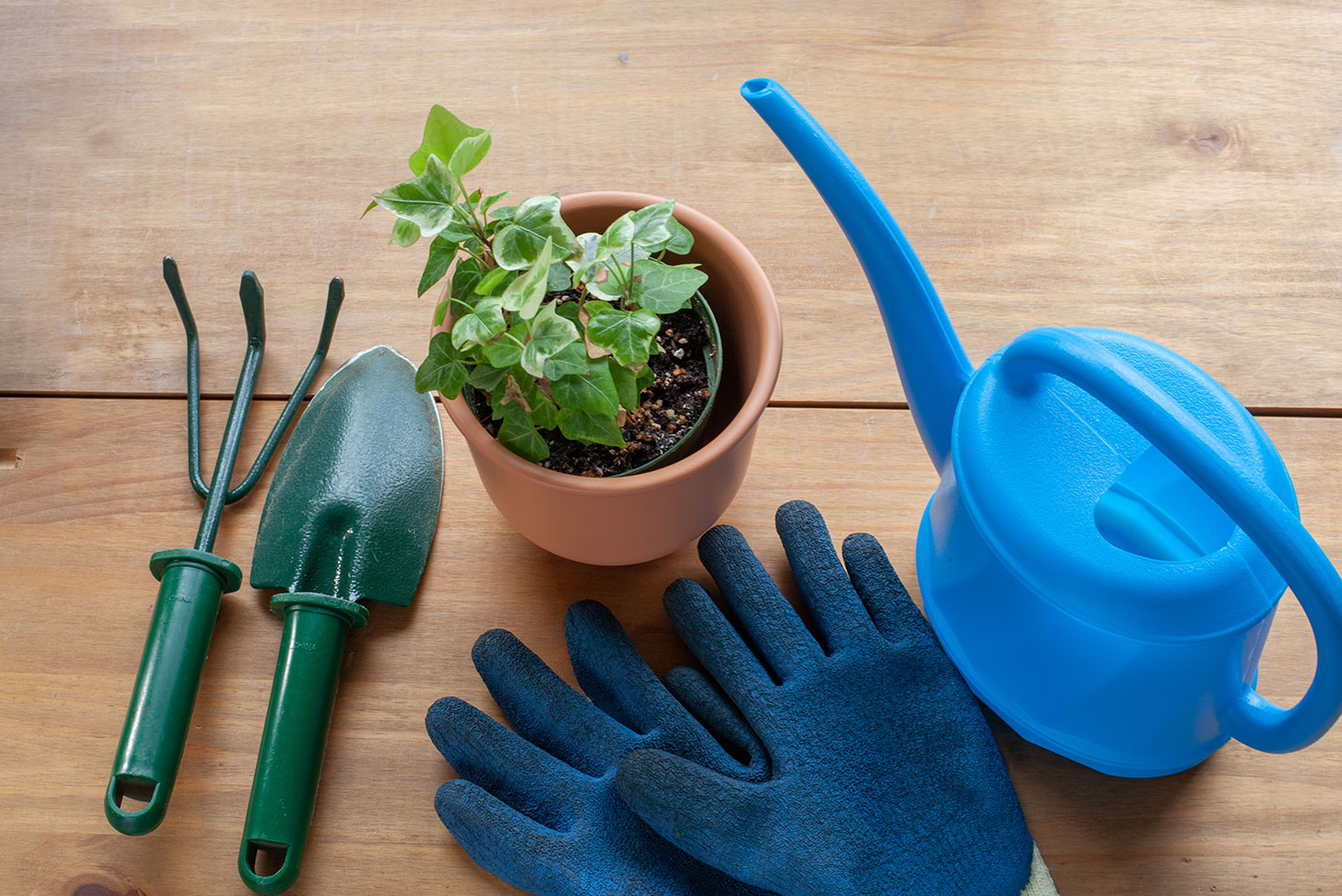 Three Tips For Keeping You Safe While Gardening - Conservatory Senior ...