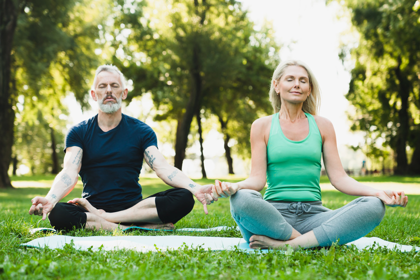 Practice Yoga In The Forest Every Wednesday At The Woodlands Reserve