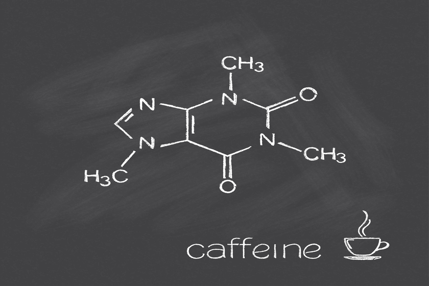 Understanding The Effects Of Caffeine On Your Senior Body ...